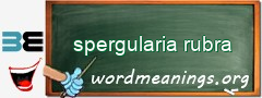 WordMeaning blackboard for spergularia rubra